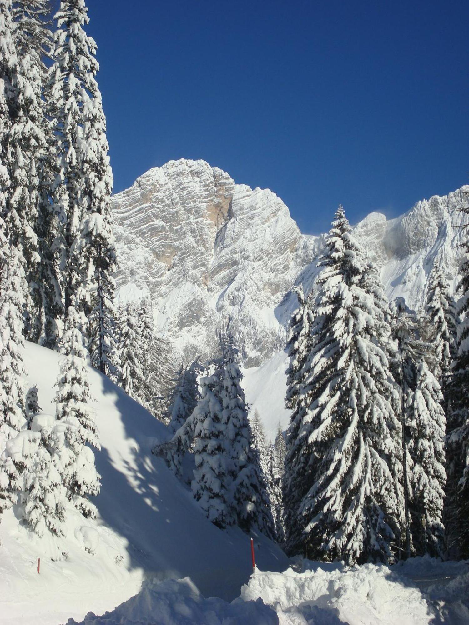 Bergerhof Hotel Ramsau am Dachstein Luaran gambar